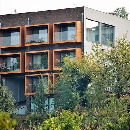 Memorias Da Comarca Arganil